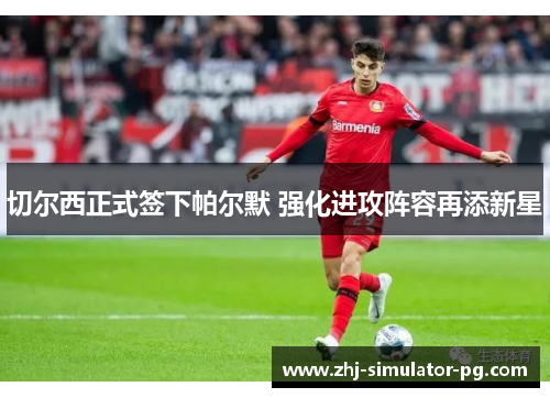 切尔西正式签下帕尔默 强化进攻阵容再添新星